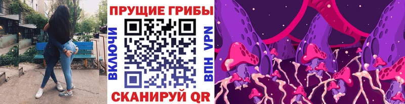 кракен зеркало Новокубанск Галлюциногенные грибы прущие грибы